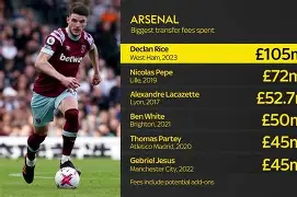 九游网页版-阿森纳0203赛季名单